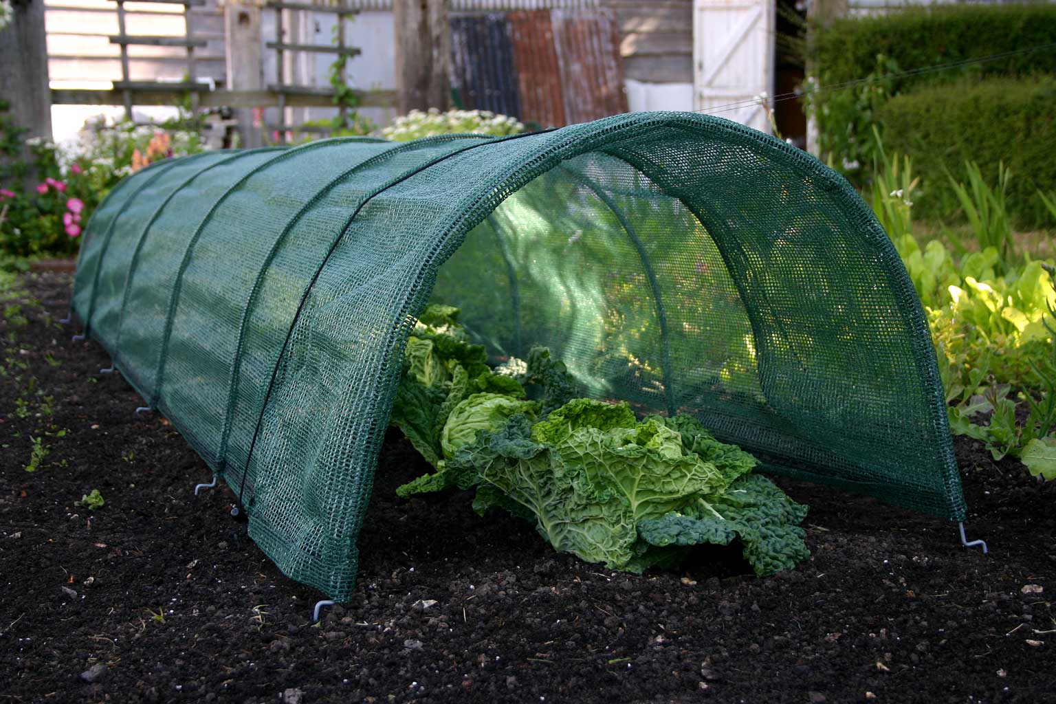 Haxnicks Giant Easy Net Tunnel 3m x 60cmWide x 45cmHigh