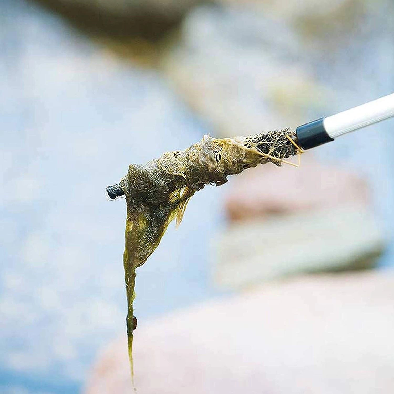 Heissner Telescopic Blanketweed Brush Sam Turner Sons