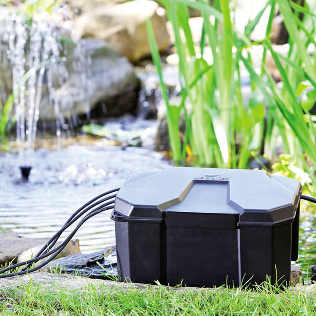 Aquaforte Garden Box