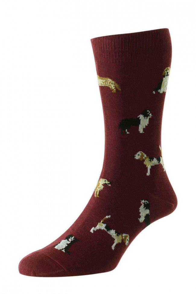HJ Hall HJ67 Country Dogs Cotton Rich Socks