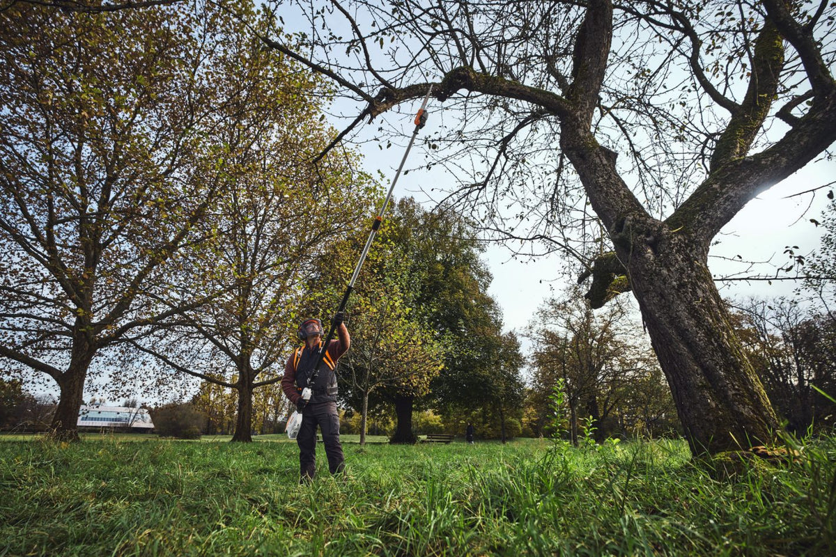 STIHL HTA 110 Cordless Telescopic Pole Pruner - ALLPRO System (12"/30 cm)