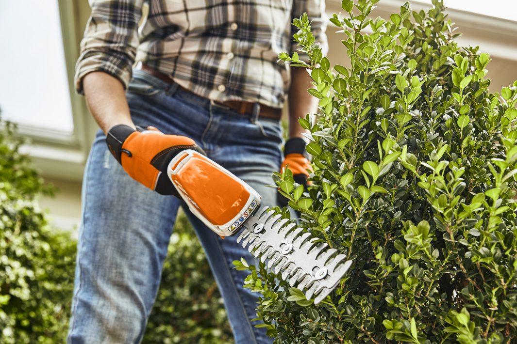 STIHL HSA 26 Cordless Shrub Shear Kit