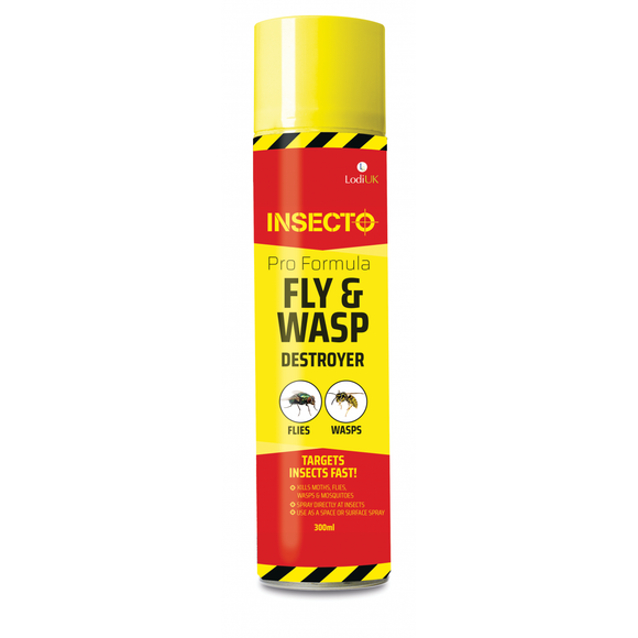 Insecto Fly & Wasp Destroyer Spray 300ml
