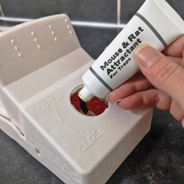 The Big Cheese Ready-Baited XL Rat Trap