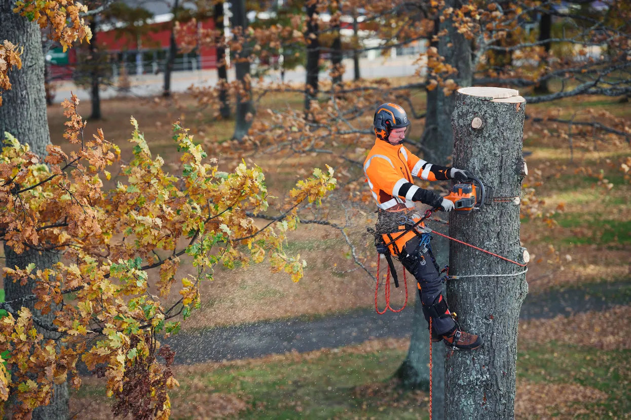Husqvarna 550i XP Battery Chainsaw