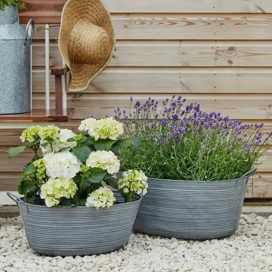 Ivyline Outdoor Matlock Oval Planter
