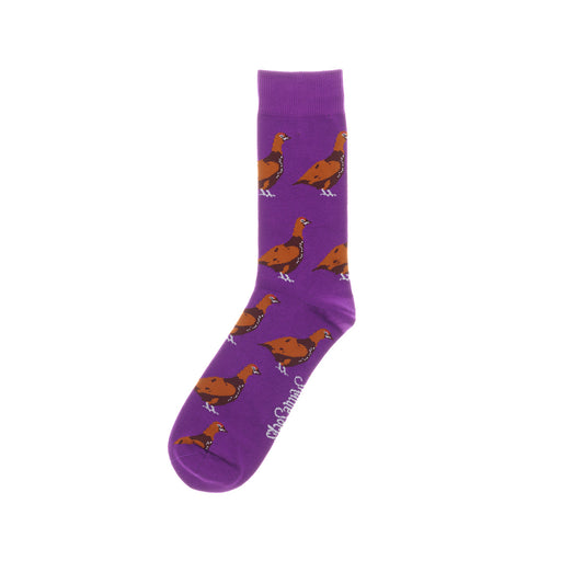 Shuttlesocks Mens Royal Purple Grouse Crew Socks
