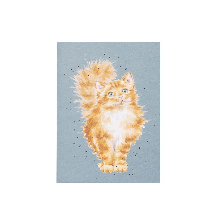 Wrendale Purrr-fect Cat A6 Notebook