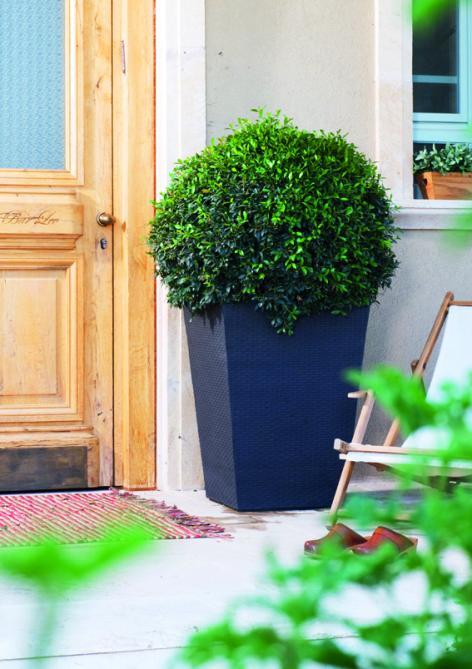 Keter Rattan Rectangular Planter