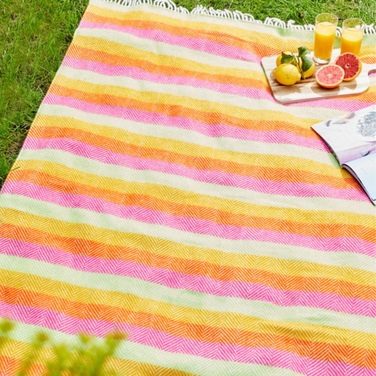 Tweedmill Polo Picnic Rug