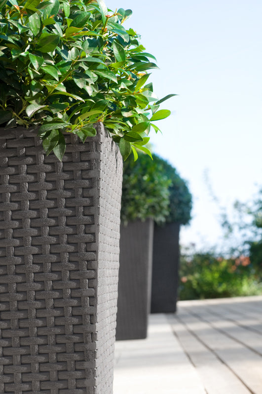 Keter Rattan Rectangular Planter