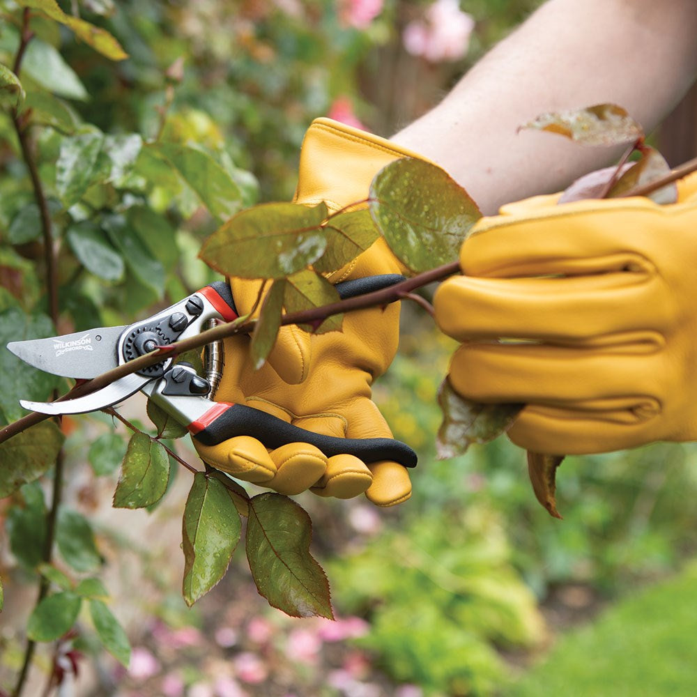 Wilkinson Sword RazorCUT Pro Angled Head Bypass Pruner