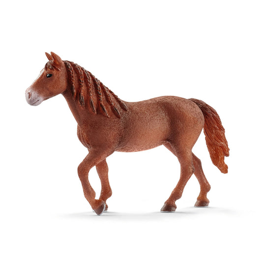 Schleich Morgan Mare Figure 13870