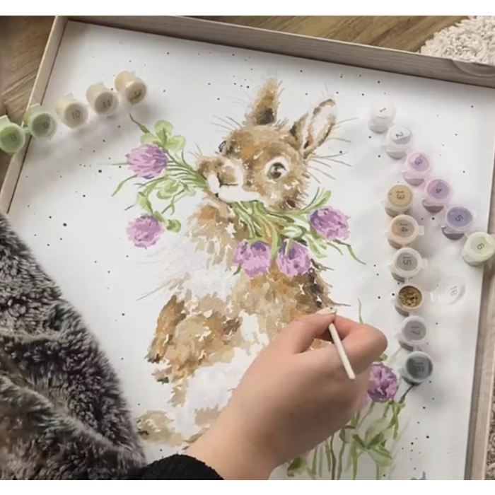 Wrendale Head Clover Heels Rabbit Paint by Numbers