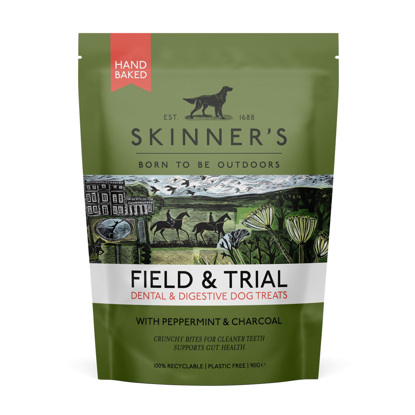 Skinners Field & Trial Peppermint Dental & Digestive Dog Treats 90g