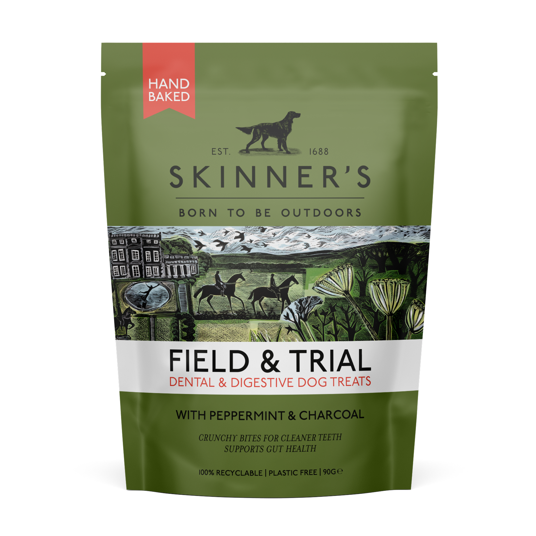 Skinners Field & Trial Peppermint Dental & Digestive Dog Treats 90g
