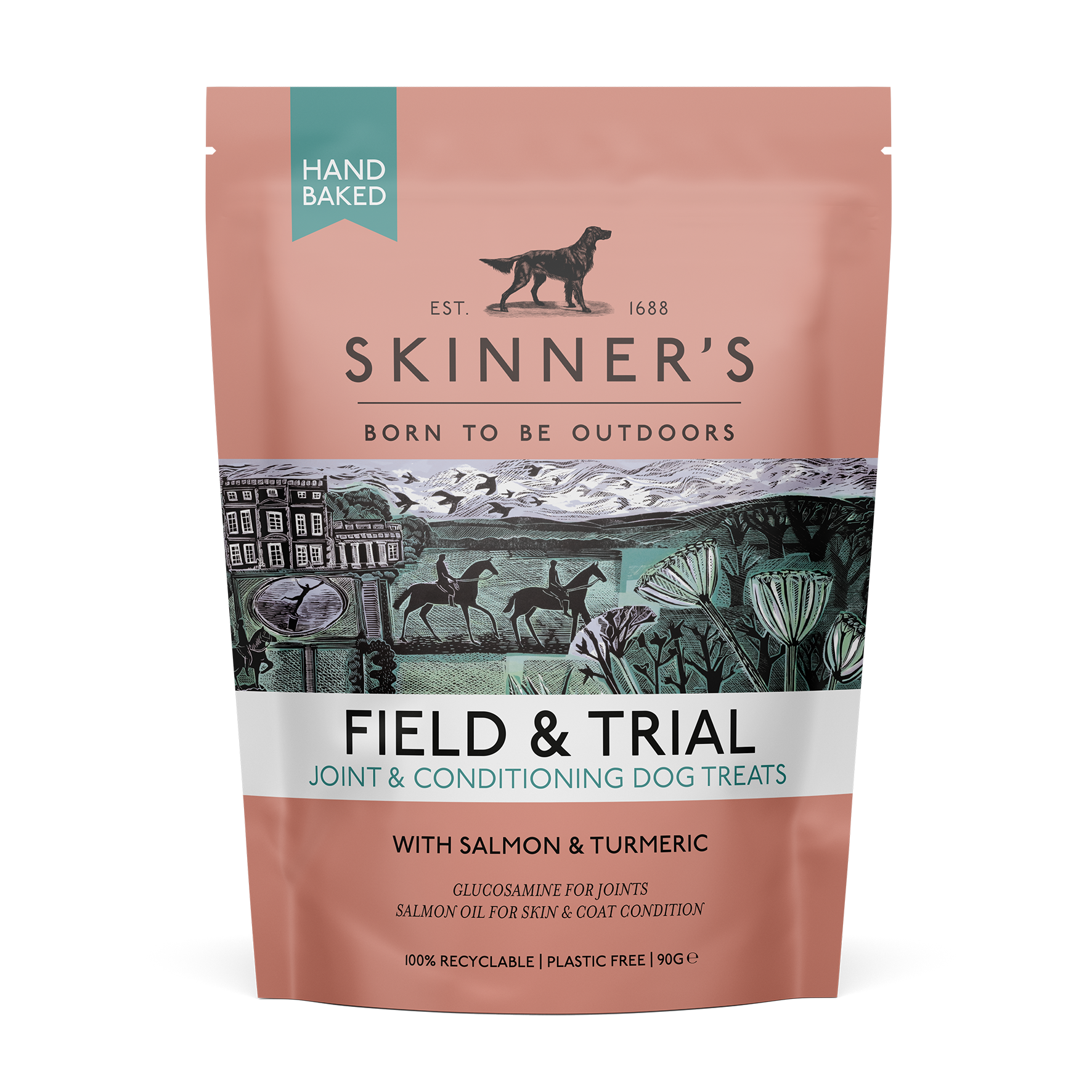 Skinners Field & Trial Salmon Joint & Condition Dog Treats 90g