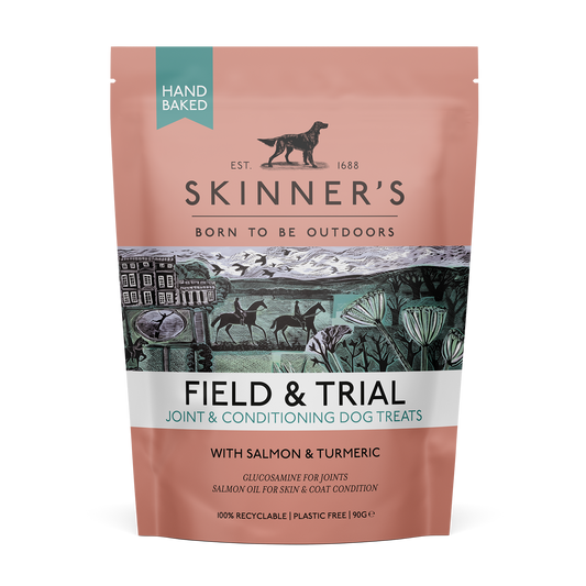 Skinners Field & Trial Salmon Joint & Condition Dog Treats 90g