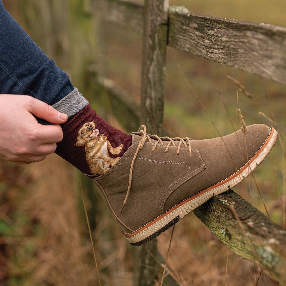 Wrendale Good as Gold Labrador Socks