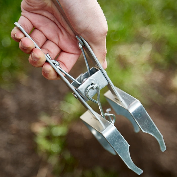 The Big Cheese Mole Claw Trap