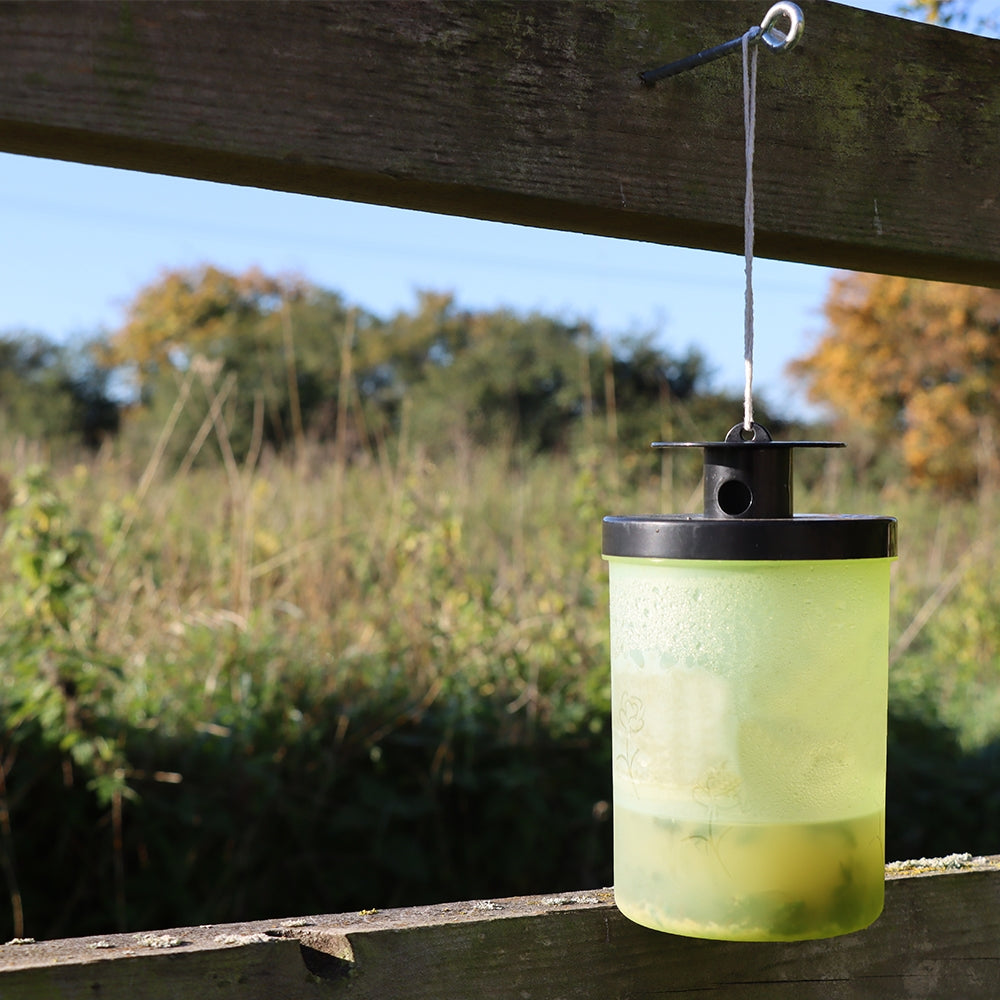 Zero-In Ready Baited Wasp Trap