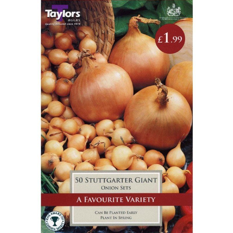 Stuttgarter Giant Onion Set 50-Pack – Sam Turner & Sons