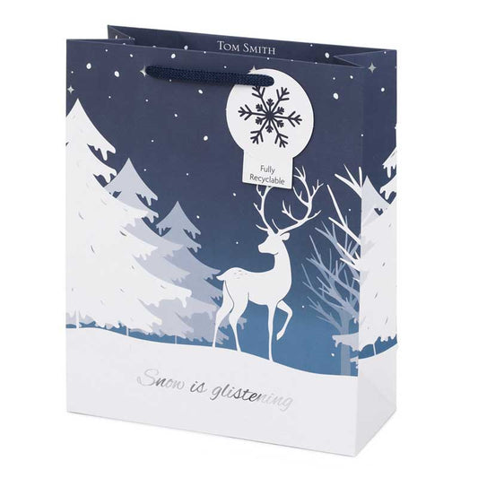 Design Group Uk Ltd - Ts Bag, Winter Wonderland Medi