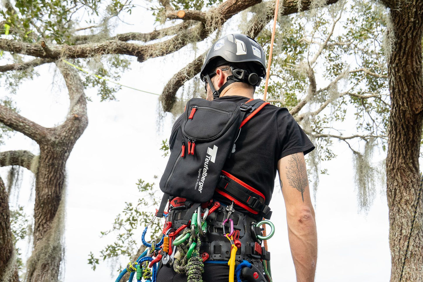 Teufelberger Up Motion SRT Chest Harness