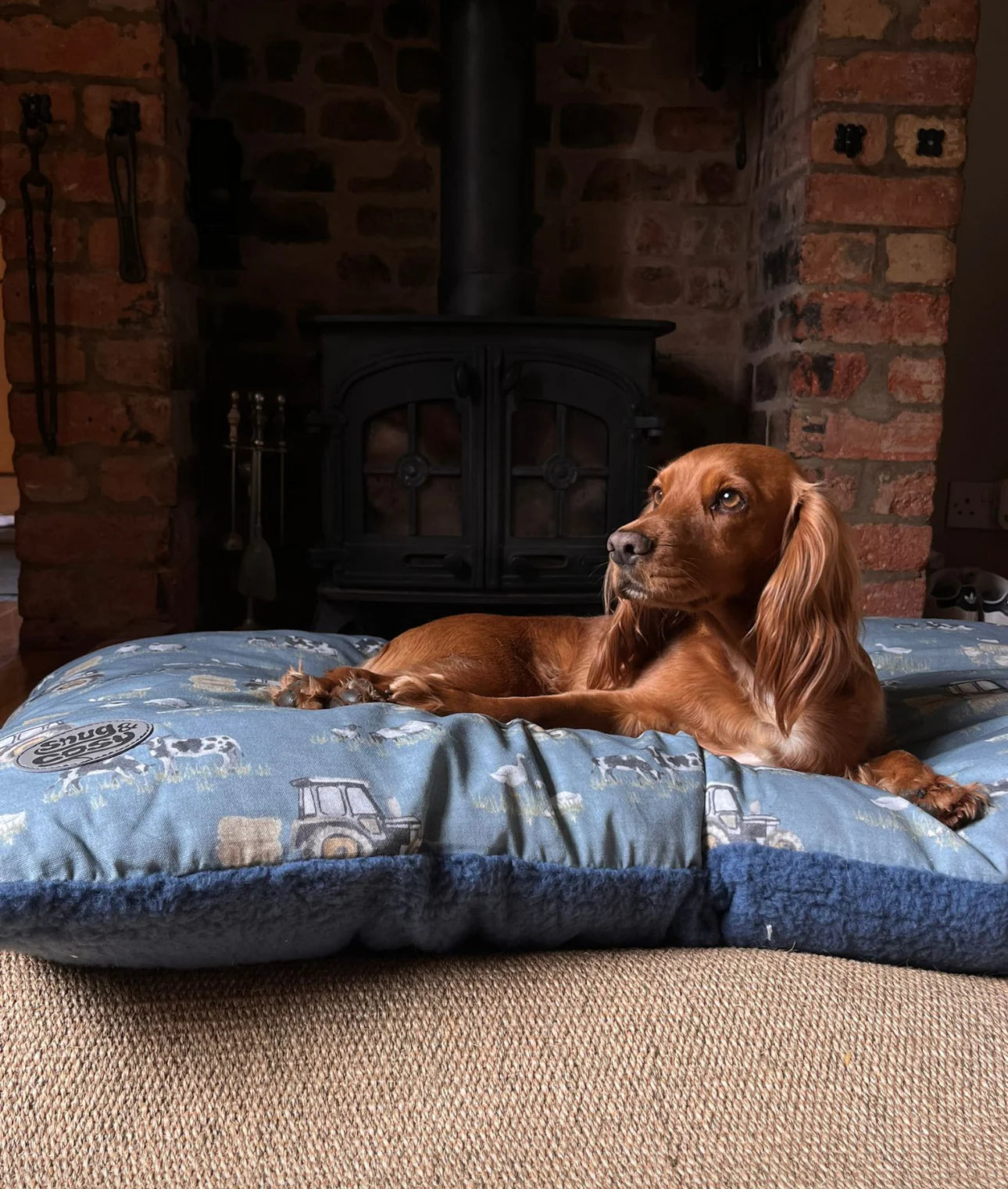 Dog Bed Lounger Farmyard Blue L 120cmx75cm Snug & Cosy