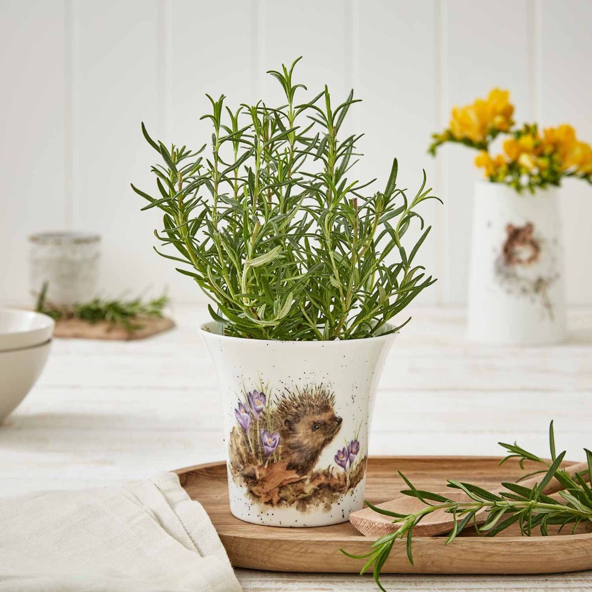Wrendale 'New Beginnings' Hedgehog Herb Pot