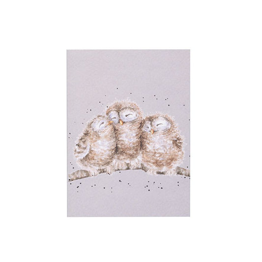 Wrendale 'Owlets' Owl A6 Notebook 