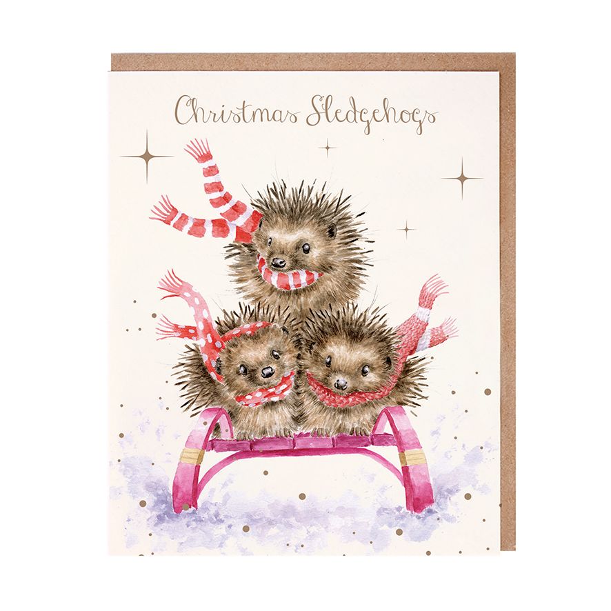 Wrendale 'Sledgehogs' Hedgehog Christmas Card Pack