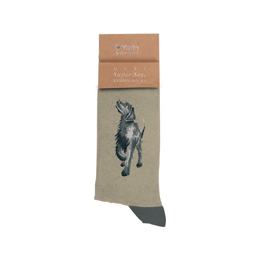 Wrendale 'Walkies' Black Labrador Men's Socks