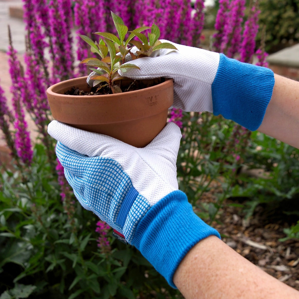 Town & Country Cotton Grip Gingham Gardening Gloves