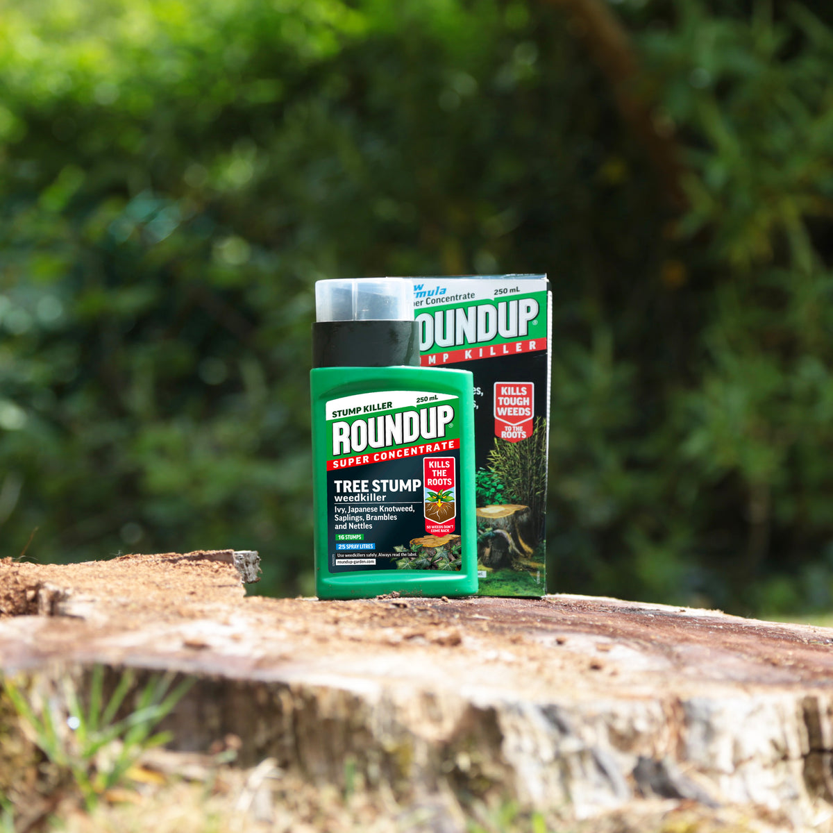 Roundup Tree Stump & Root Killer 250ml Sam Turner & Sons