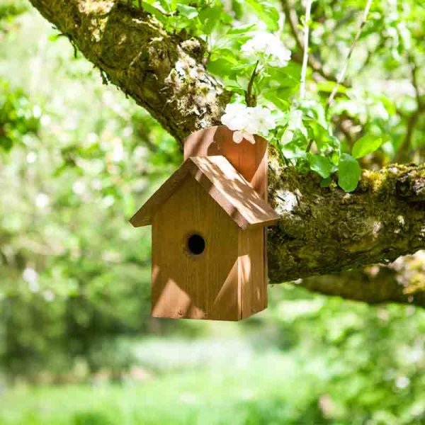 Chapelwood Dark Wood Nest Box