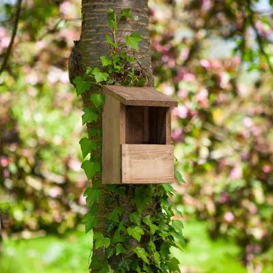Chapelwood Classic Robin Nest Box