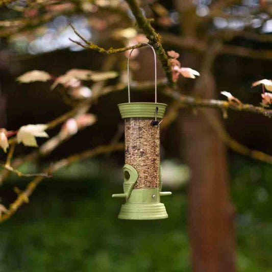 Chapelwood Supreme Seed Feeder 20cm
