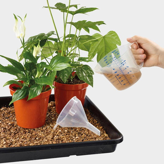 Stewart Measuring Jug Clear 500ml