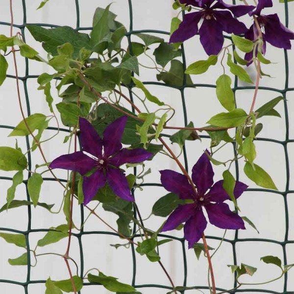 Smart Garden Climbing Plant & Fencing Mesh 50mm