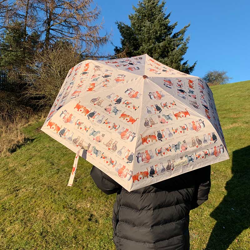Alex Clark Umbrella