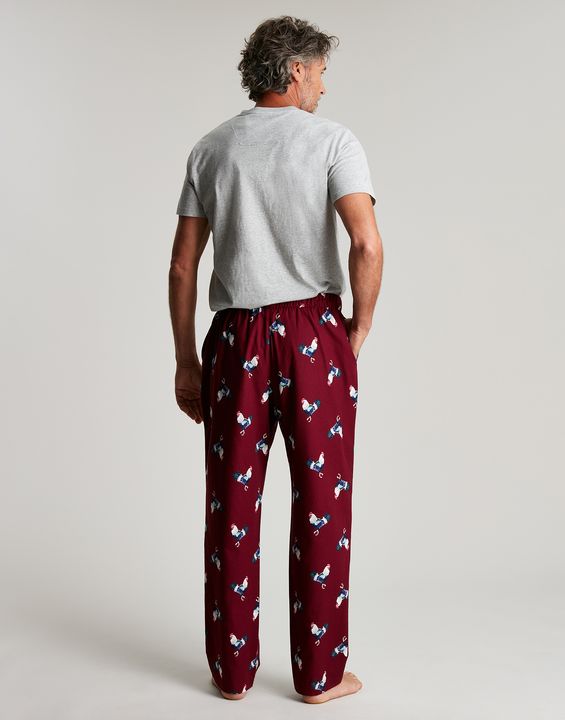 Joules Goodnight Printed Bottoms & T-Shirt Set