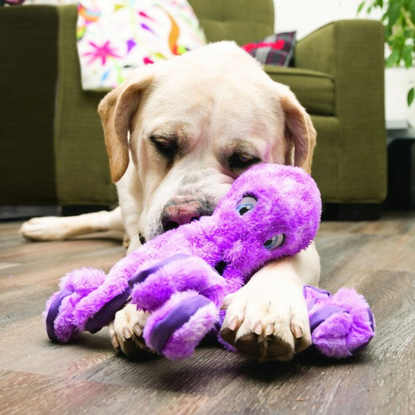 KONG SoftSeas Octopus Dog Toy