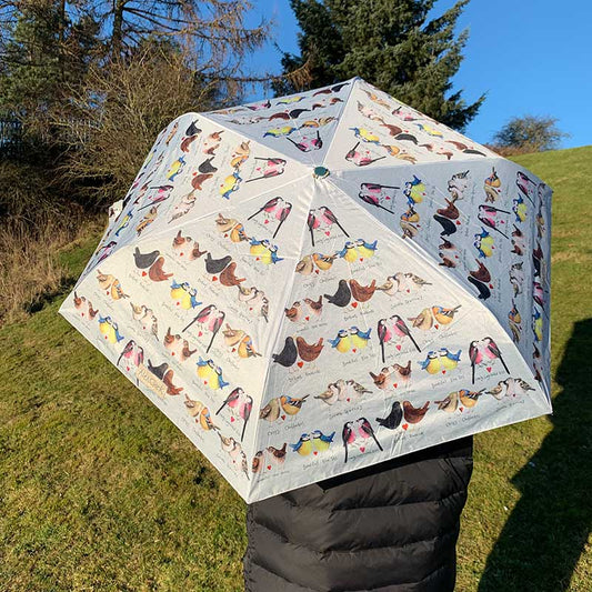 Alex Clark Umbrella