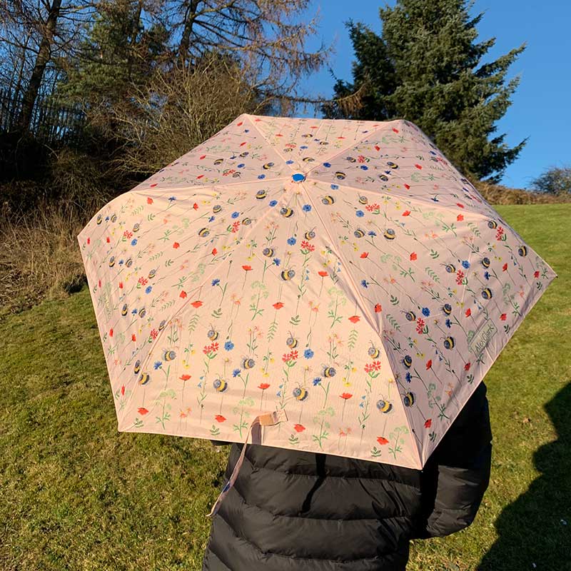Alex Clark Umbrella
