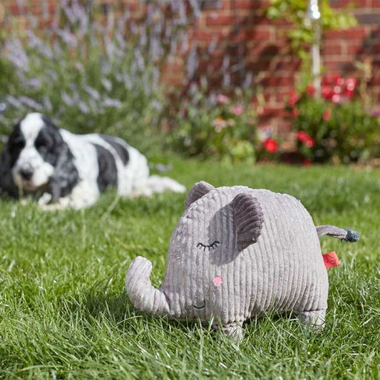 Zoon Junior Jumbo Dog Toy