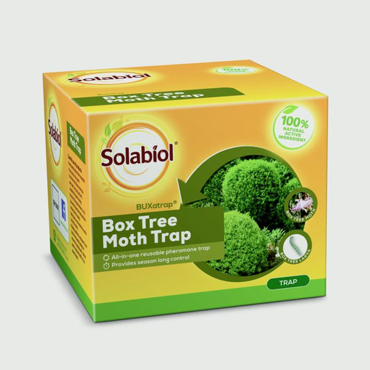 Solabiol BUXatrap Box Tree Moth Trap