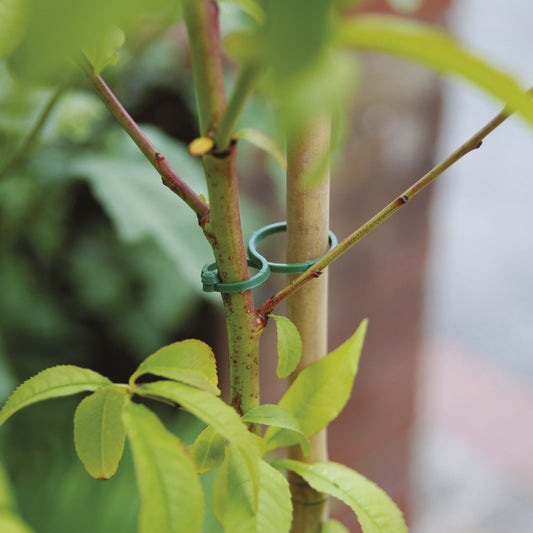 The Good Life Small Twist & Clips 30-Pack