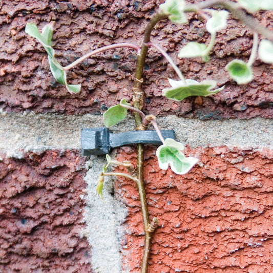 The Good Life Lead Headed Nails 8-Pack