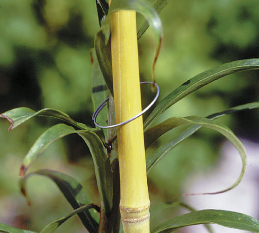The Good Life Galvanised Plant Rings x20